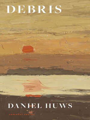 cover image of Debris